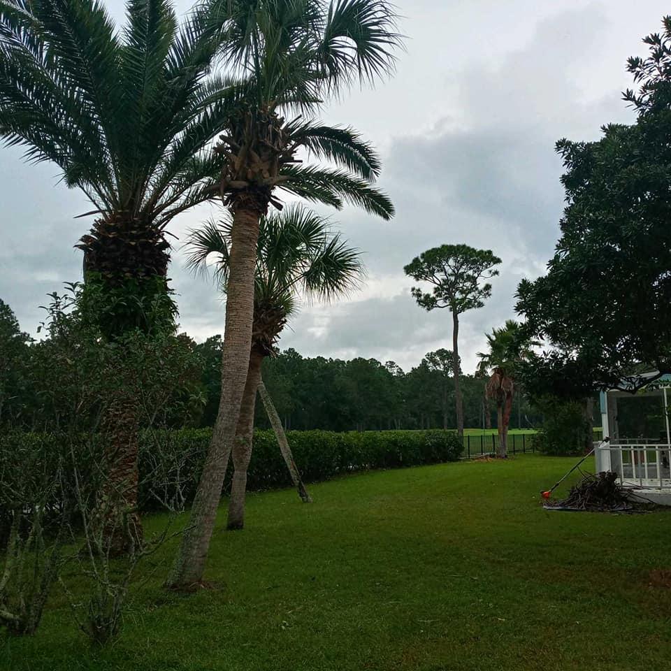 Circular Image