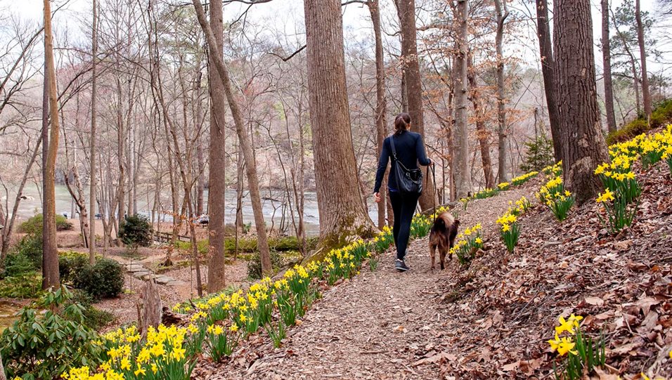 Walton On The Chattahoochee Photo