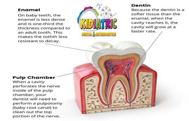 Images Kidiatric Dental & Orthodontics