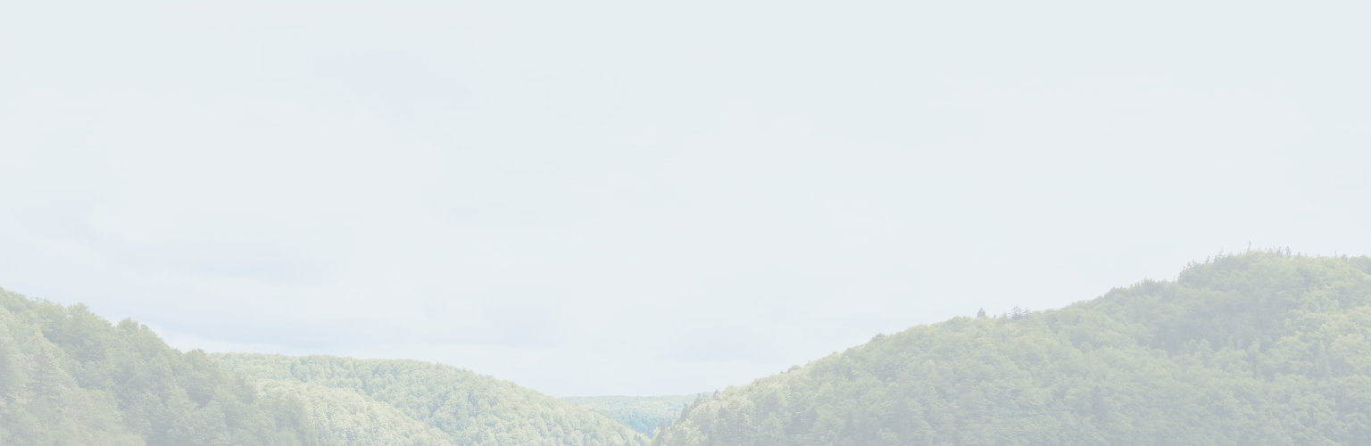 An aerial shot of forested hills and a serene, cloud-covered sky.