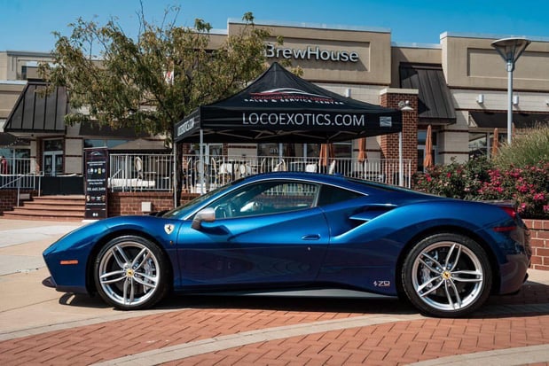 Images Loudoun County Exotics
