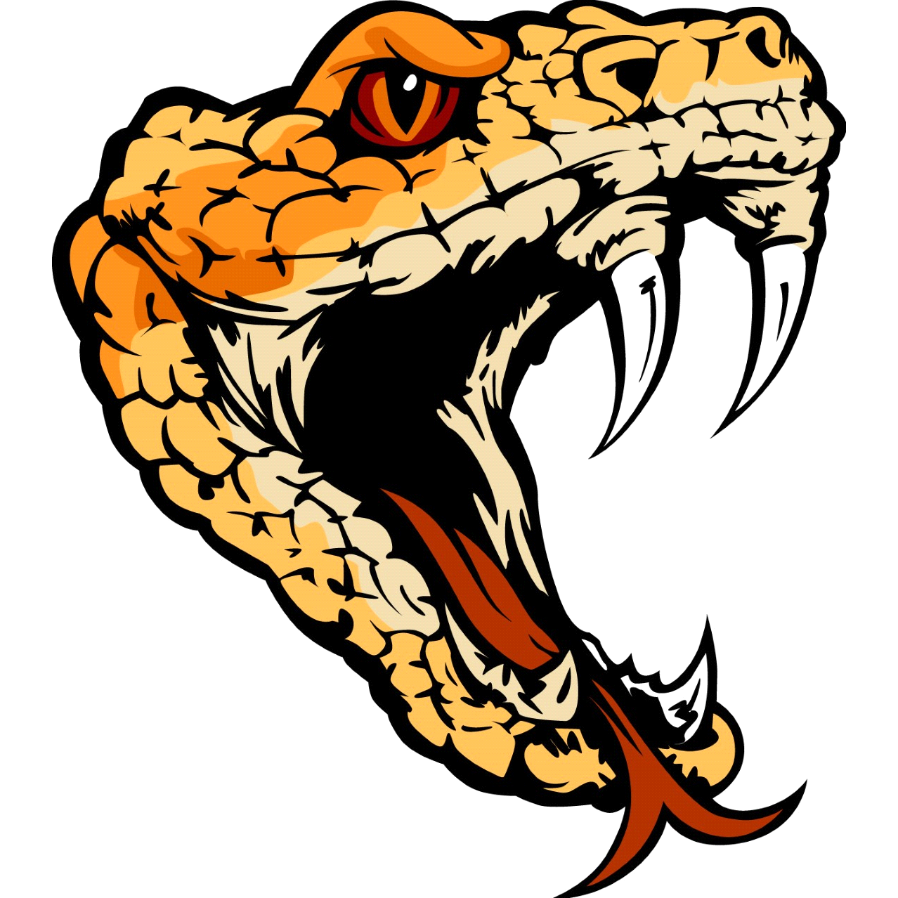 Sidewinder Charters