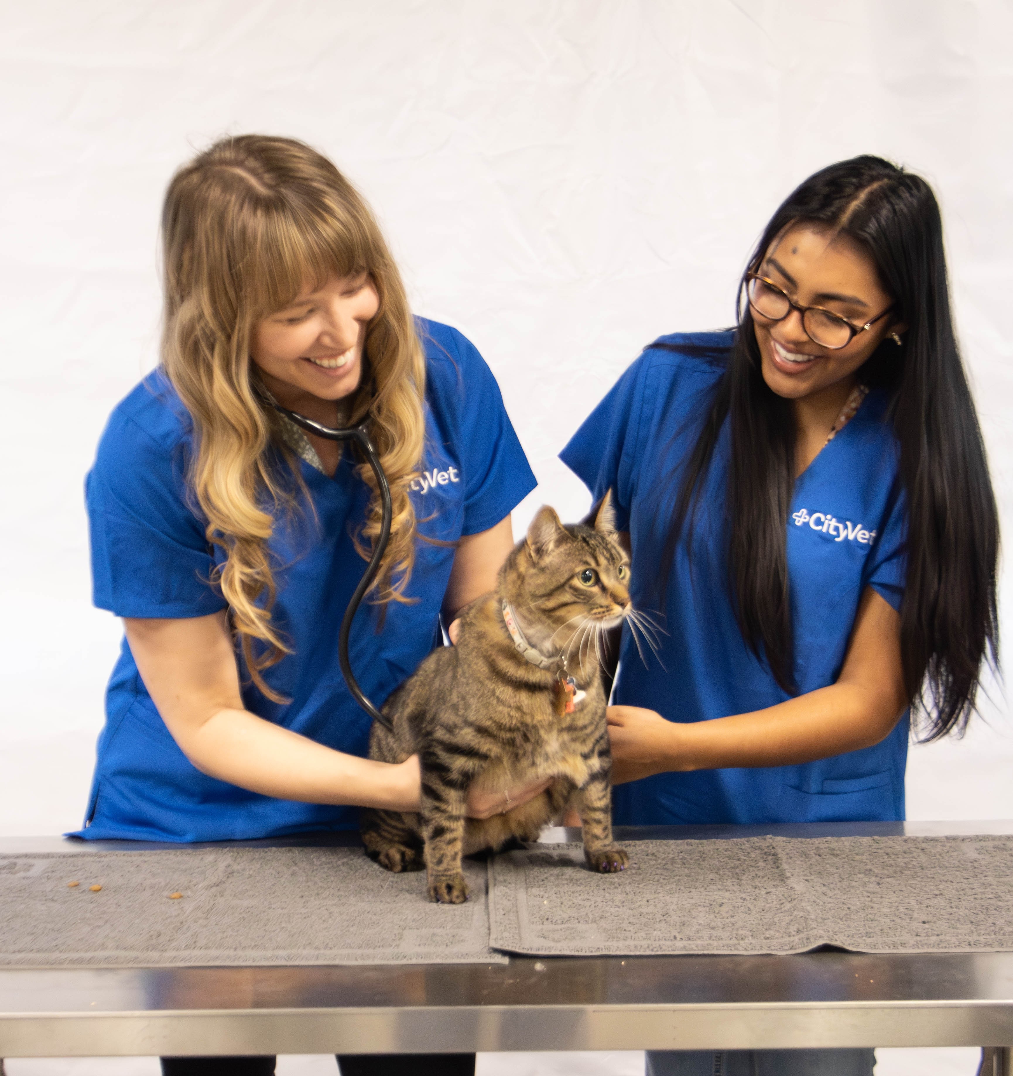 Dr. Amy Jager, owner of CityVet | Verrado and a tech examining a cat