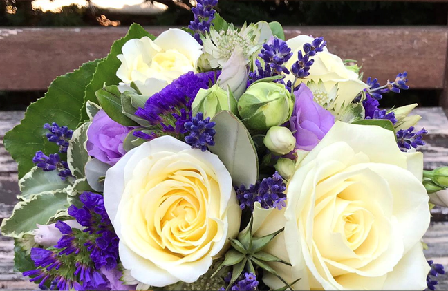 Bilder Lägere Blueme GmbH