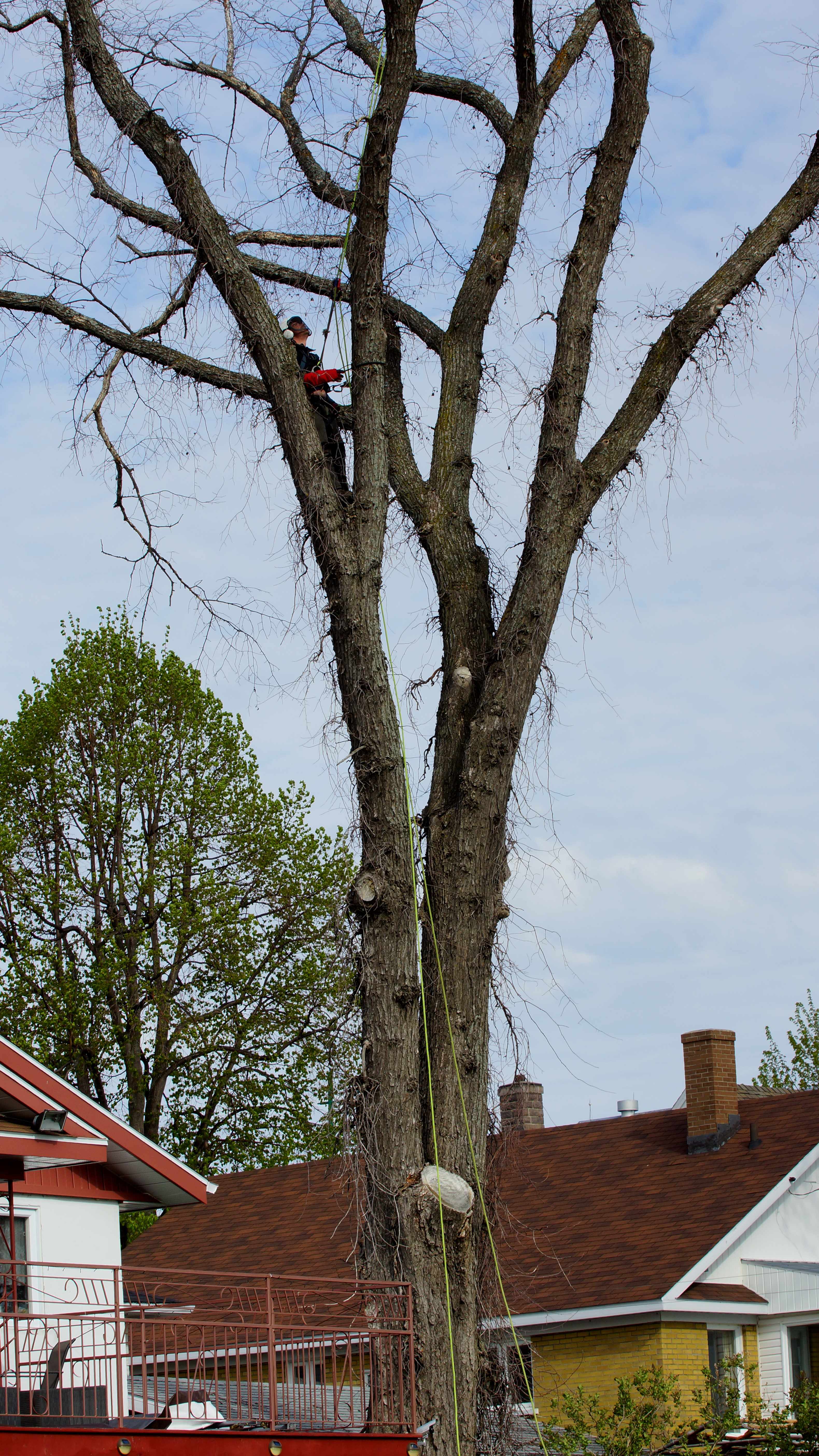 Images les Arboriculteurs du lac