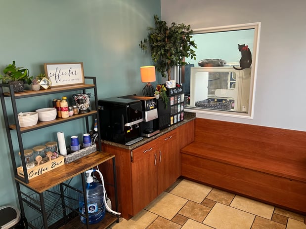 Images VCA Oak Hills Animal Hospital