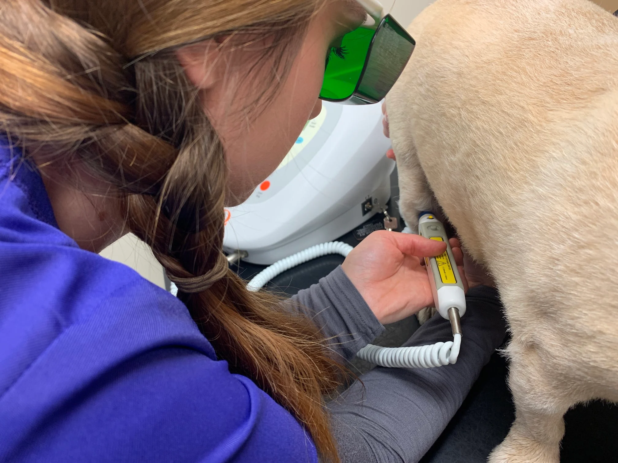 Images 387 Veterinary Centre