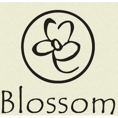 Blossom Salon and Spa