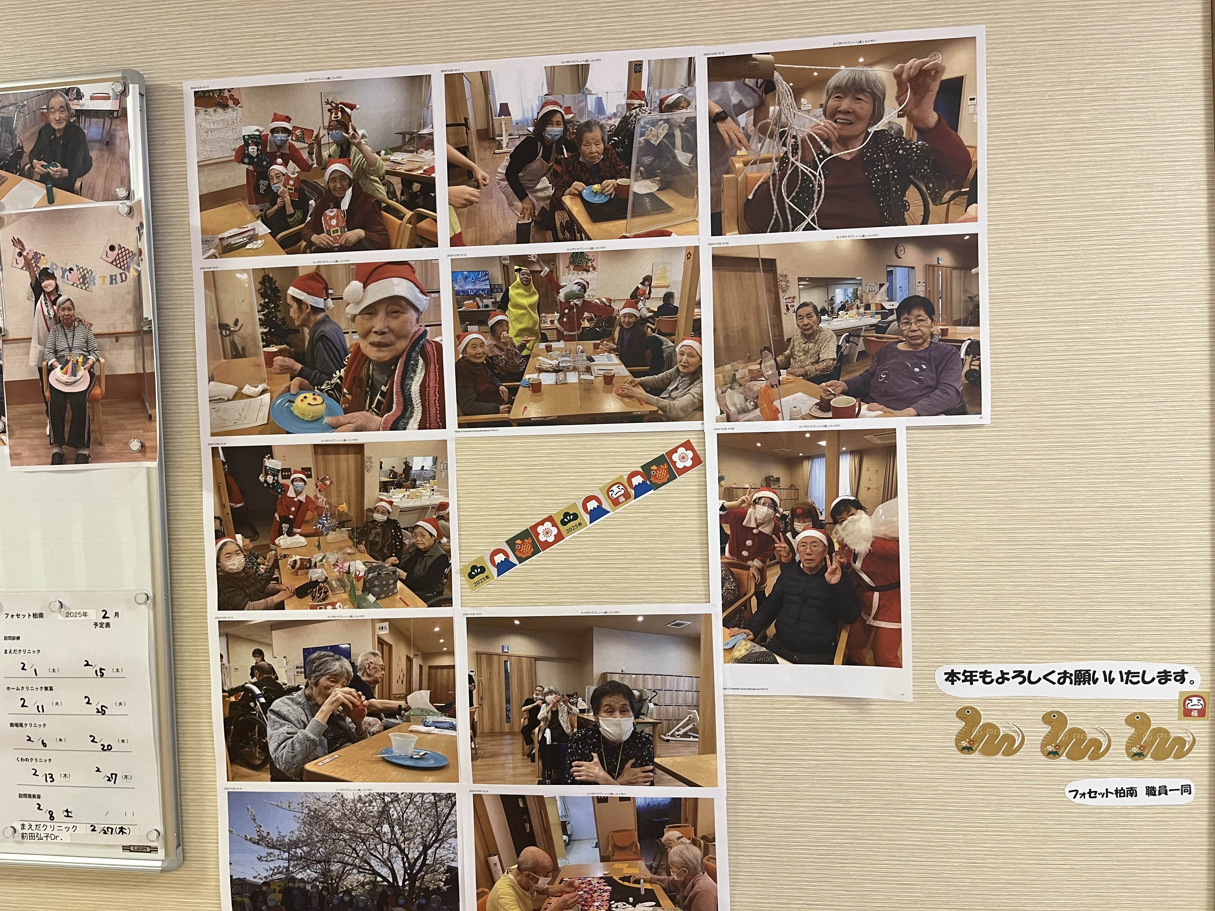 Images フォセット柏南