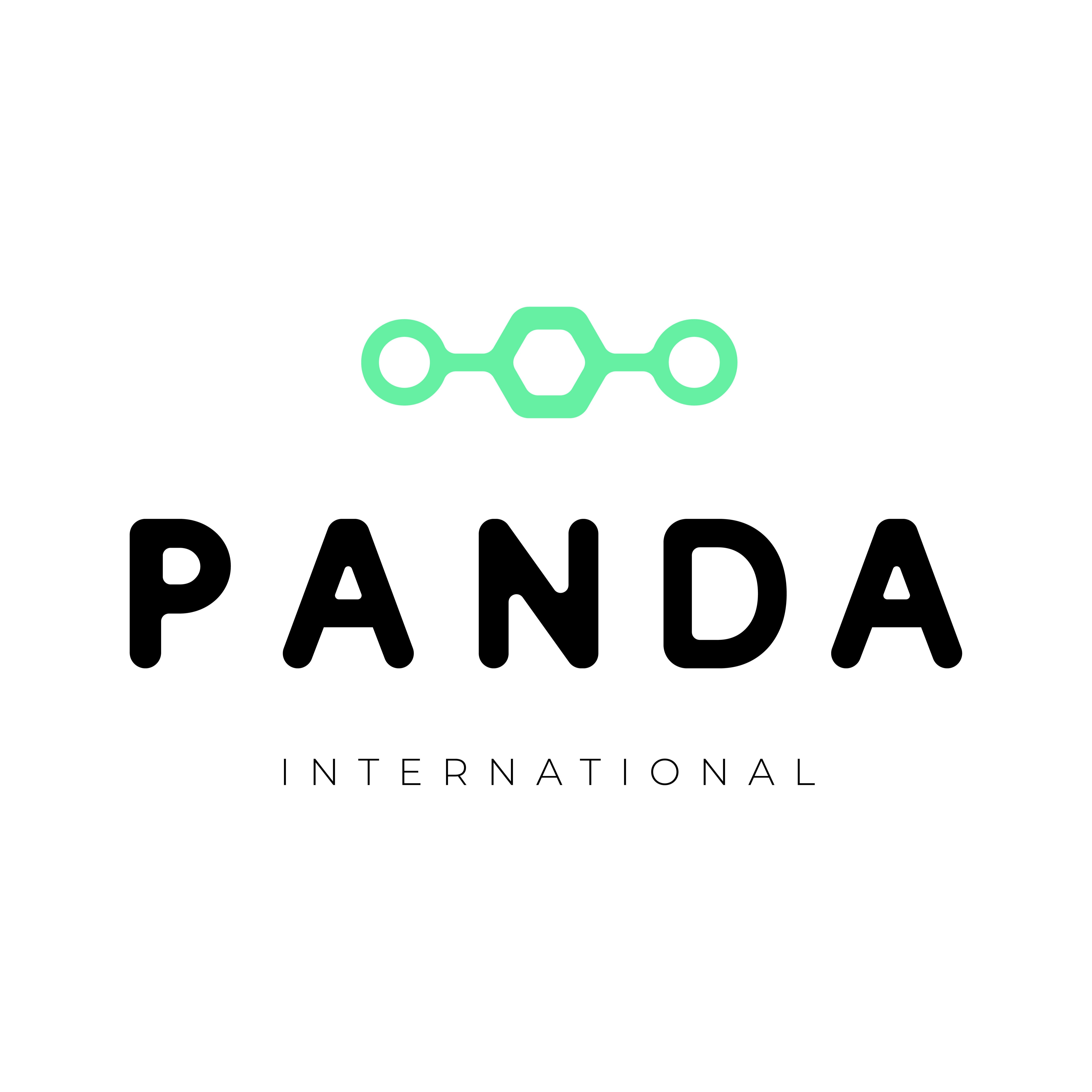 Panda International Logo