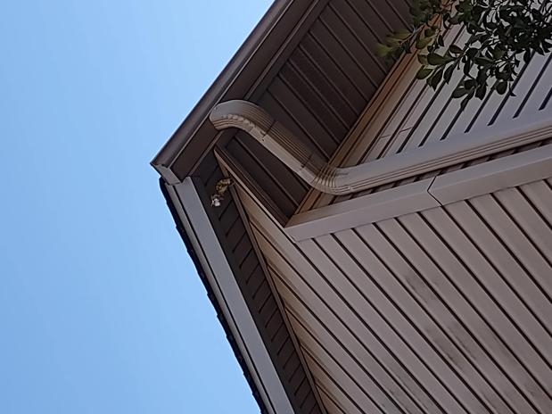 Images Conscious Critter Removal