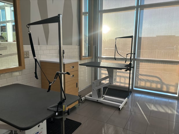 Images Petco Grooming