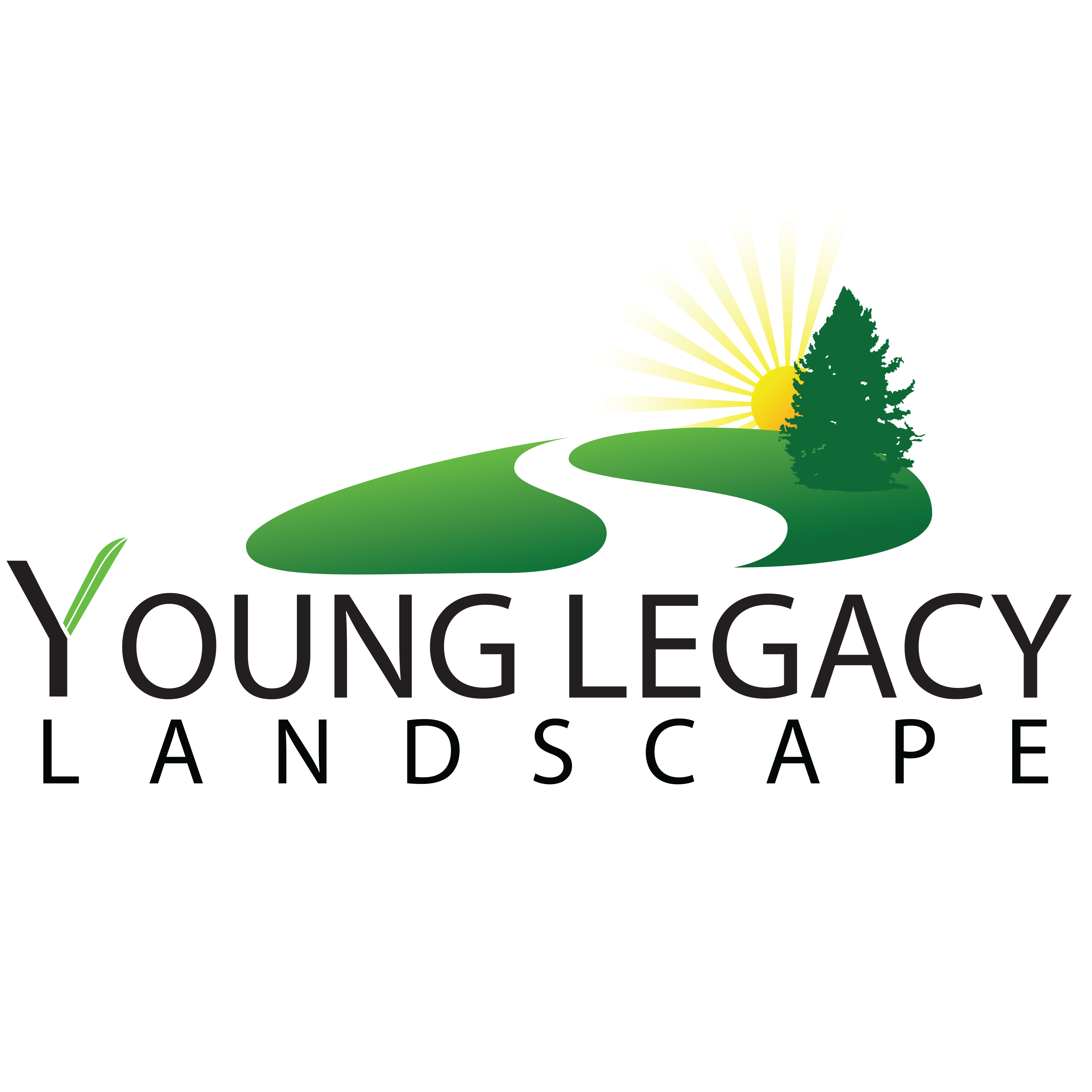 company logo