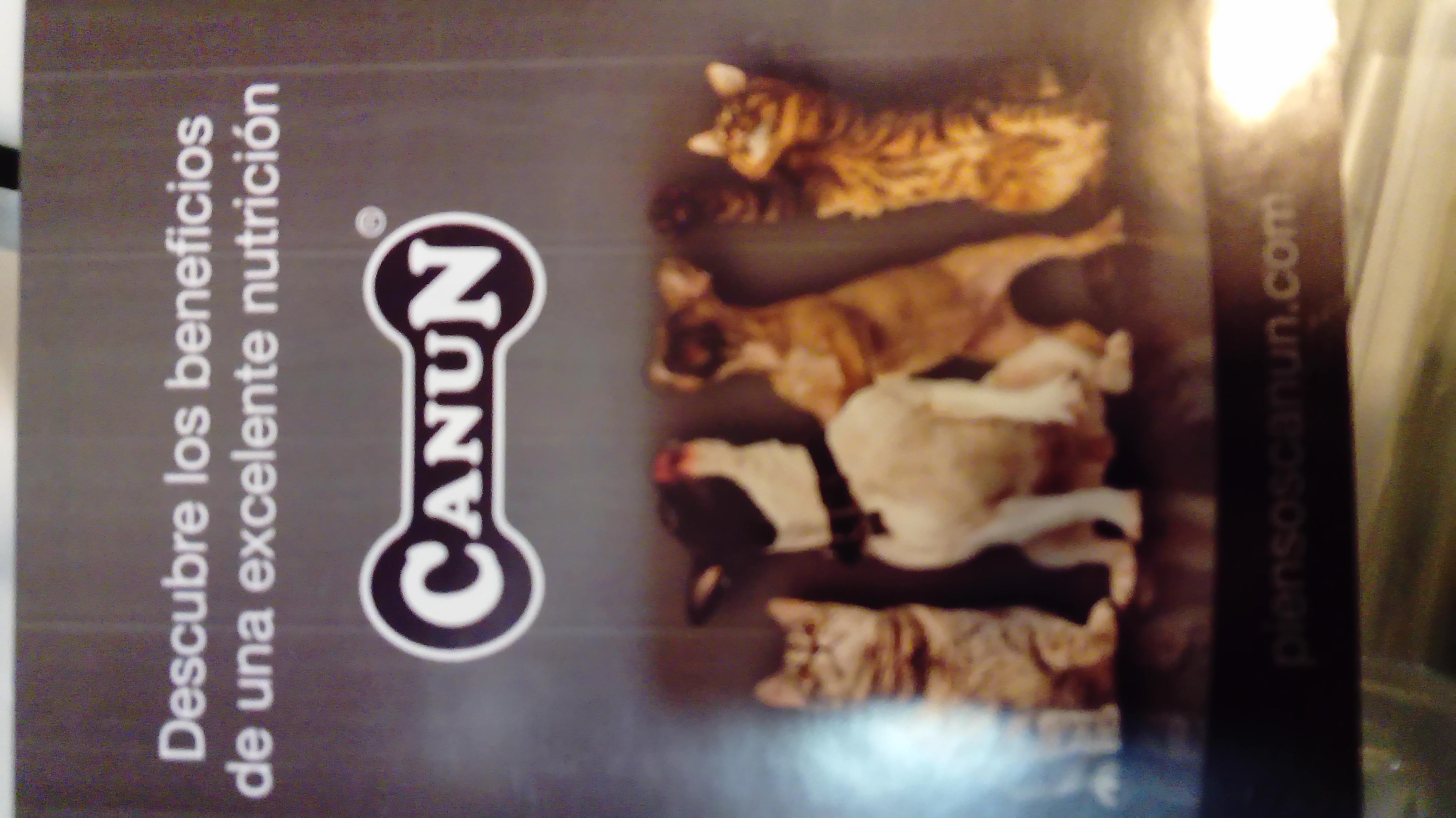 Images Incondicional Castellón - Peluquería canina y tienda de artículos para mascotas