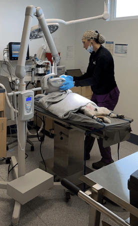 Images VCA Far Country Animal Hospital