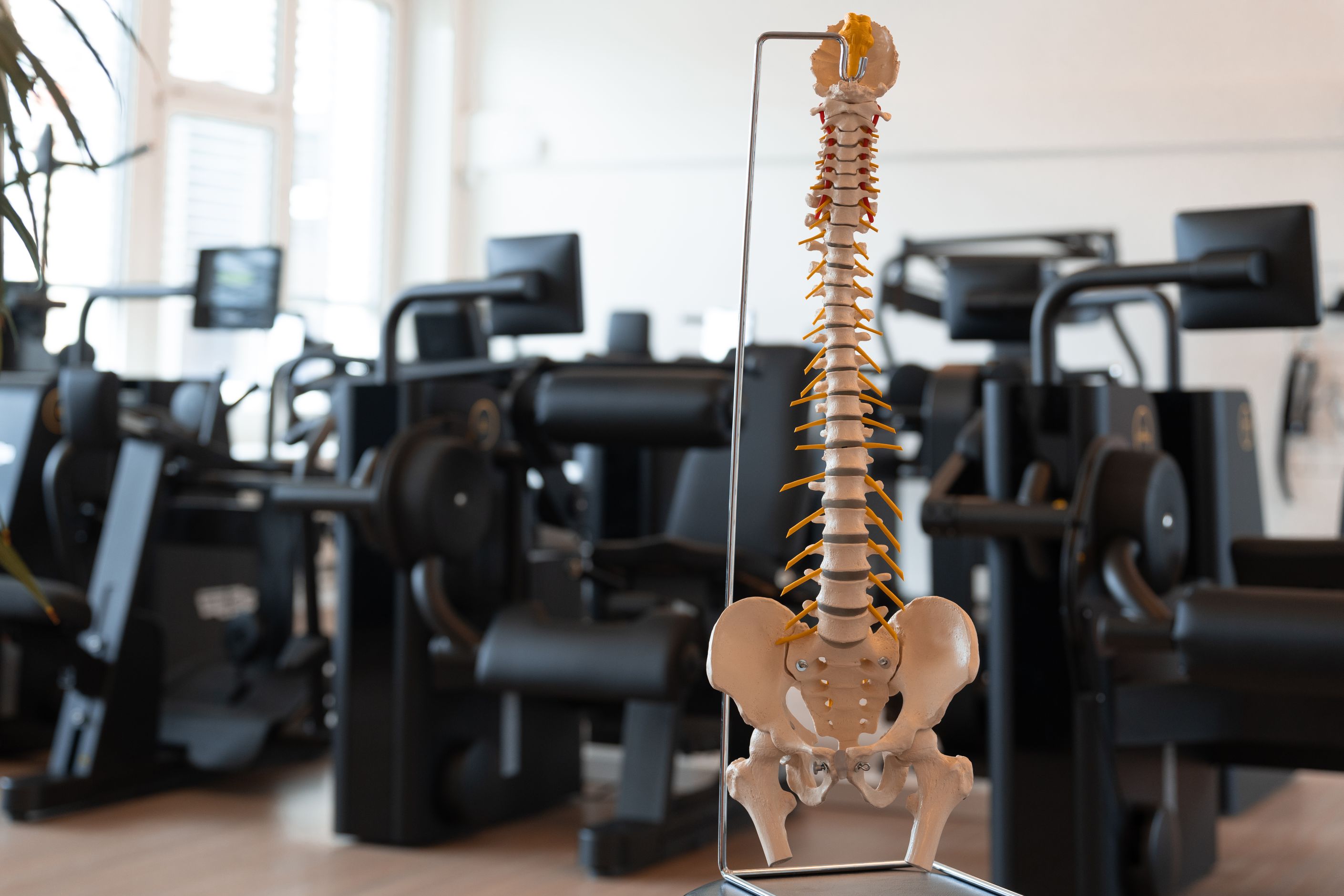 Bilder Physiotherapie Brüttisellen