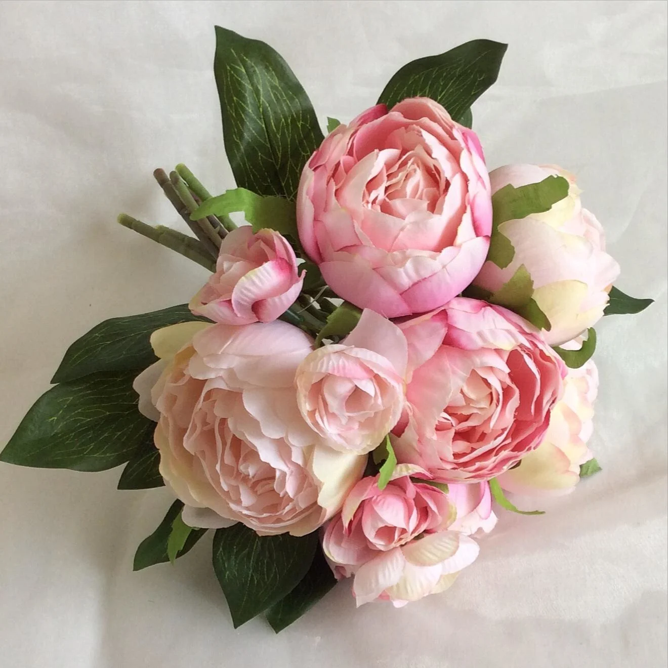 Images Village Green Wholesale Ltd