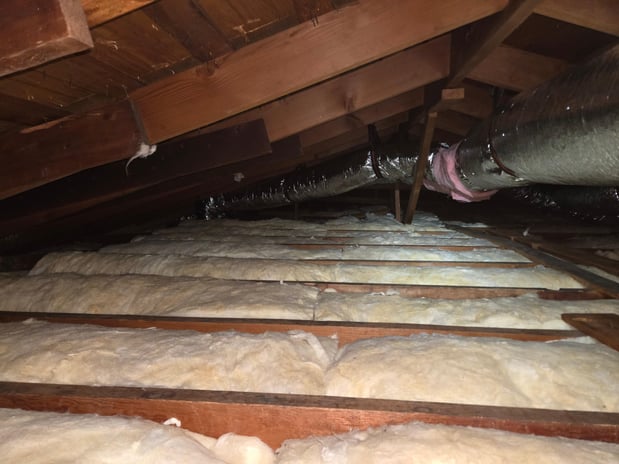 Images Newhaus Roofing & Construction