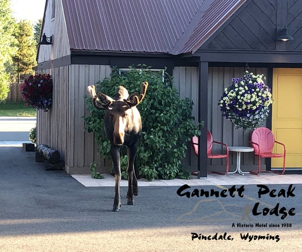 Images Gannett Peak Lodge