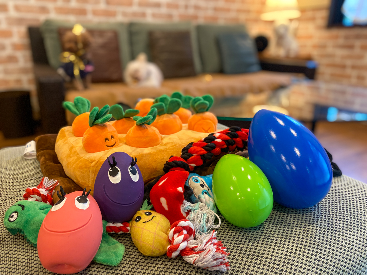 Images フジプレミアムリゾート