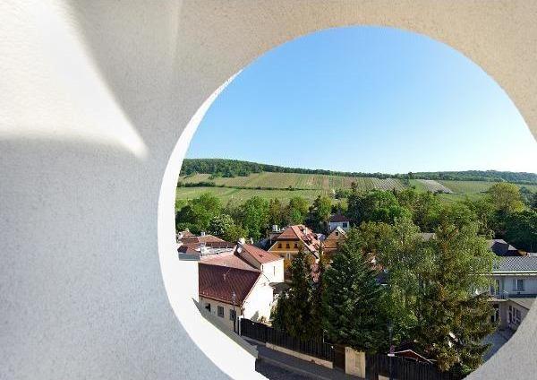 IMMO-CONTRACT Maklergesellschaft m.b.H., Landesgerichtsstraße 6 in Wien