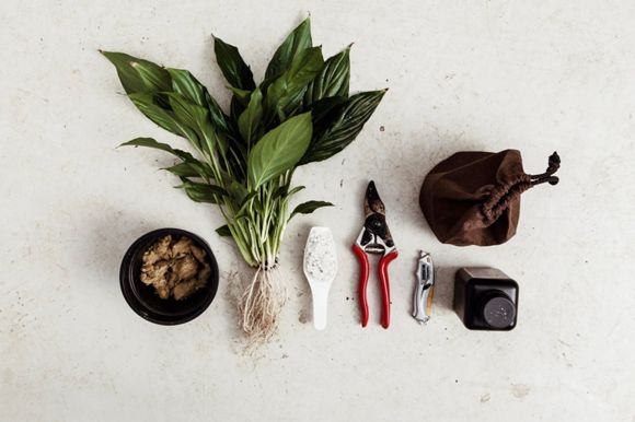 Images InnoGreen Turku