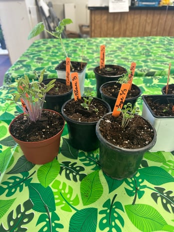 Images PJ's Plants and Nutrition - Garden Supply