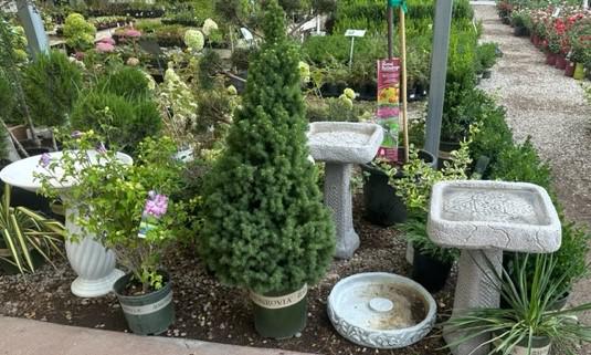 Images Pinehurst Floral & Greenhouse