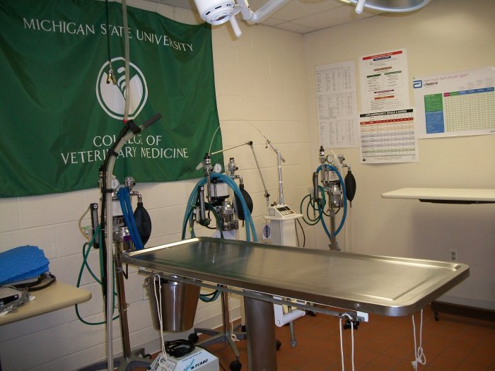 Images VCA Woodland Animal Hospital