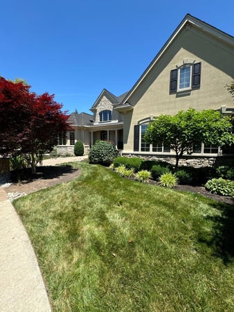 Images Feazel Roofing