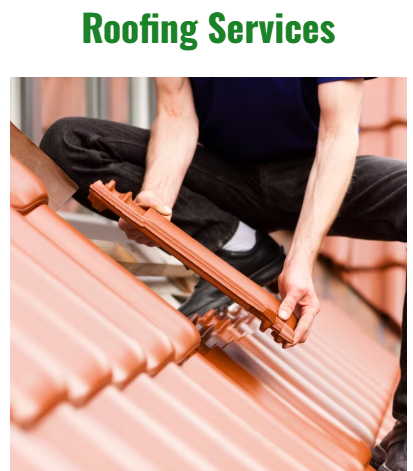 Exterior Cleaning, Softwash, Roof cleaning, powerwashing, gutter cleaning, gutter installations, Fascia & Soffits