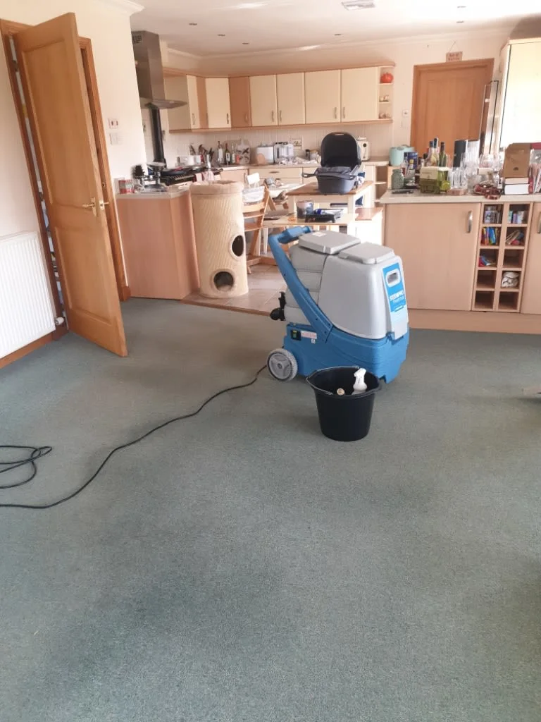Images Johnshaven Carpet Cleaning Services