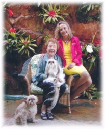 Senior Visionary Services Inc.