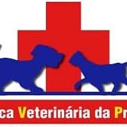 Clínica Veterinária da Prelada Logo