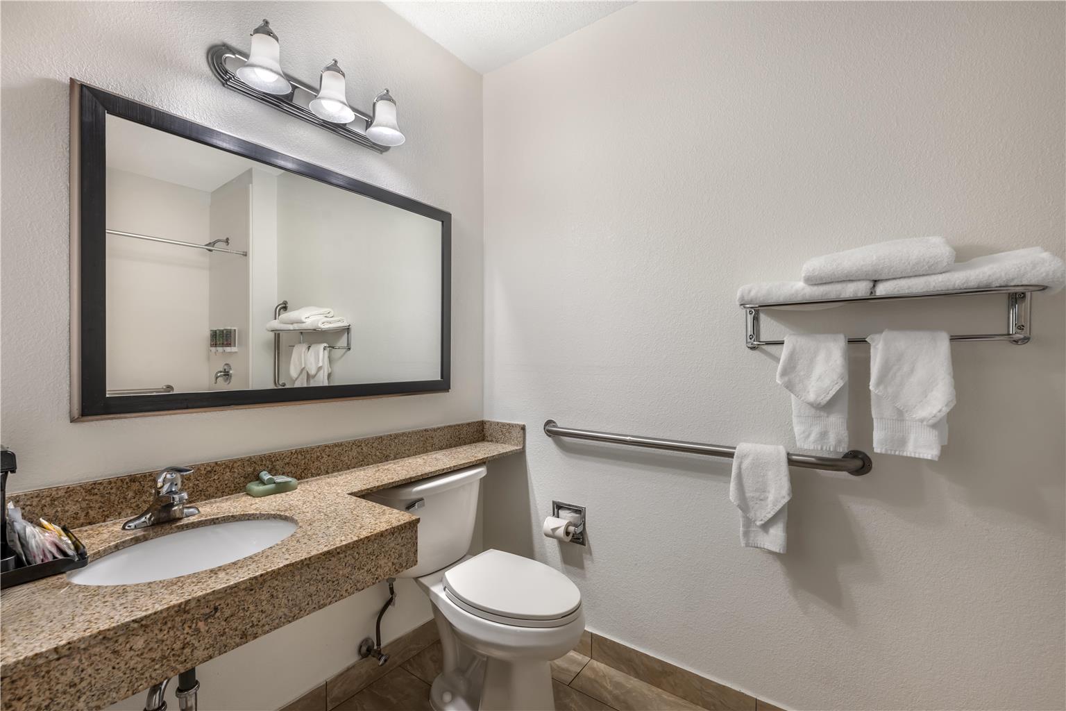 King Accessible Bathroom 