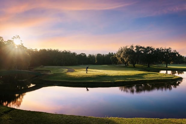 Images Montrose at Innisbrook