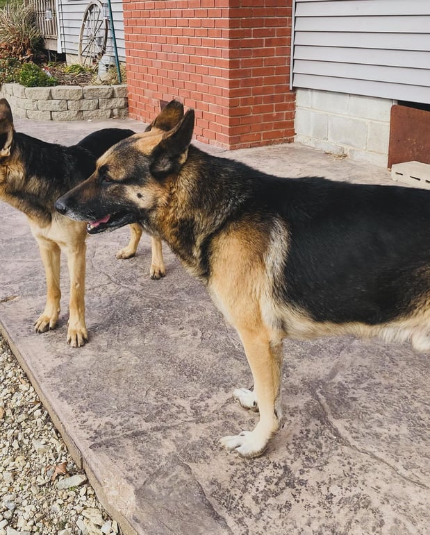 Images Valerie Bean - State Farm Insurance Agent