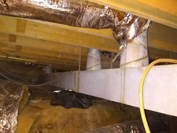 Images Air Xcellence IAQ Services LLC