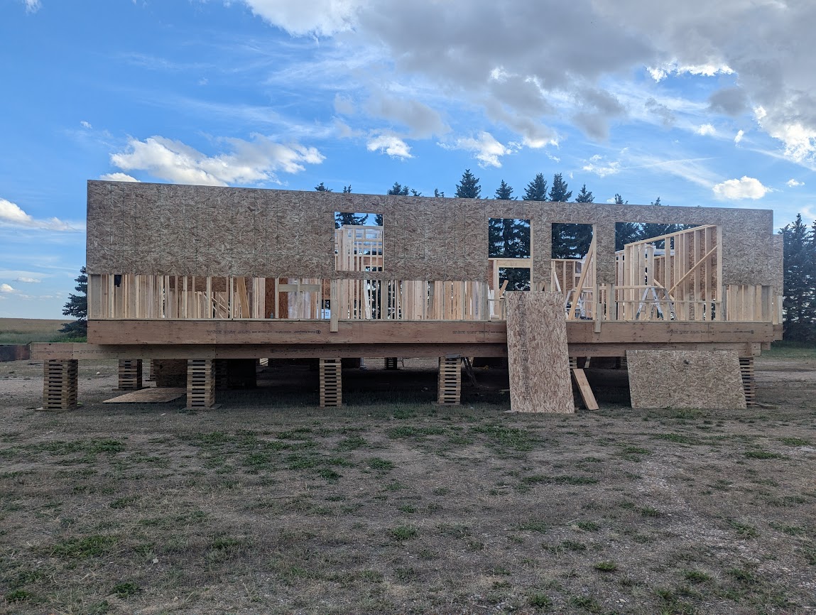 Images The Blue Spruce Builder