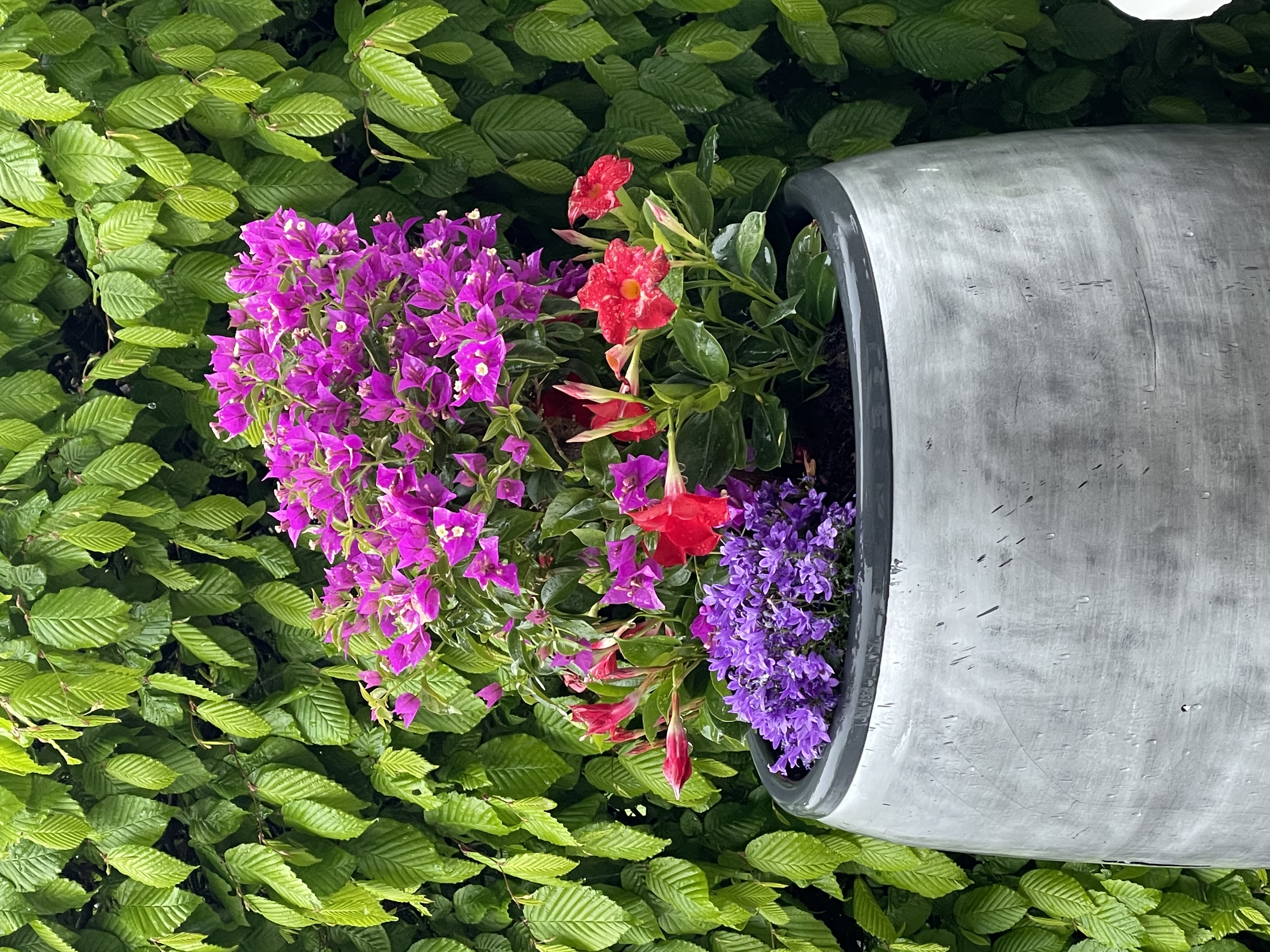 Rössli Mattstetten AG, zum staubigen Esel, Bäriswilstrasse 18 in Mattstetten