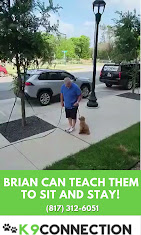 Images Dog Pawpa K9 Connection