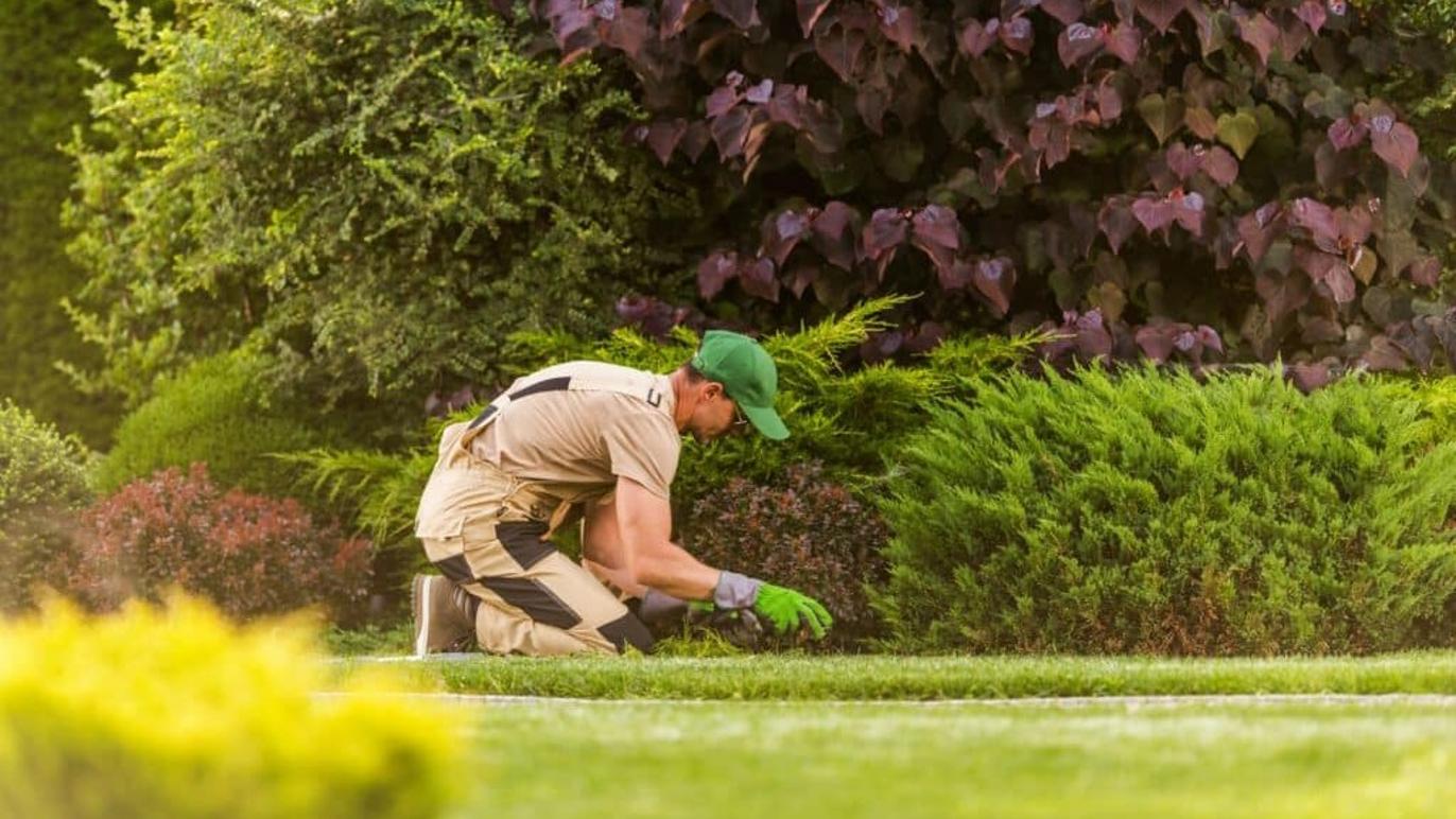 Images Reel Ejendomsservice v/Robert Larsen