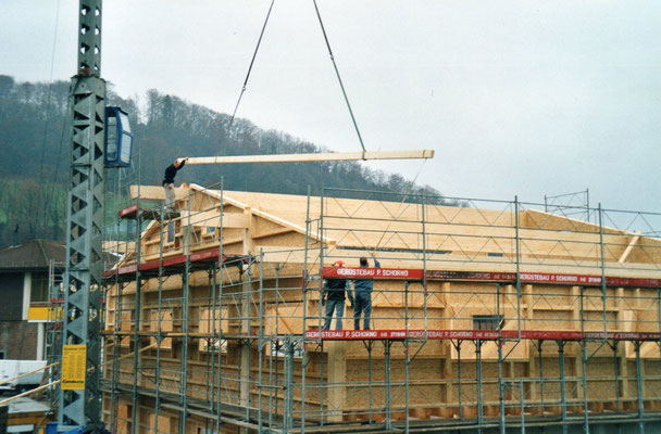 HOLZBAU PHILIPP UND WOLFGANG STALDER AG, Rigistrasse 96 in Weggis