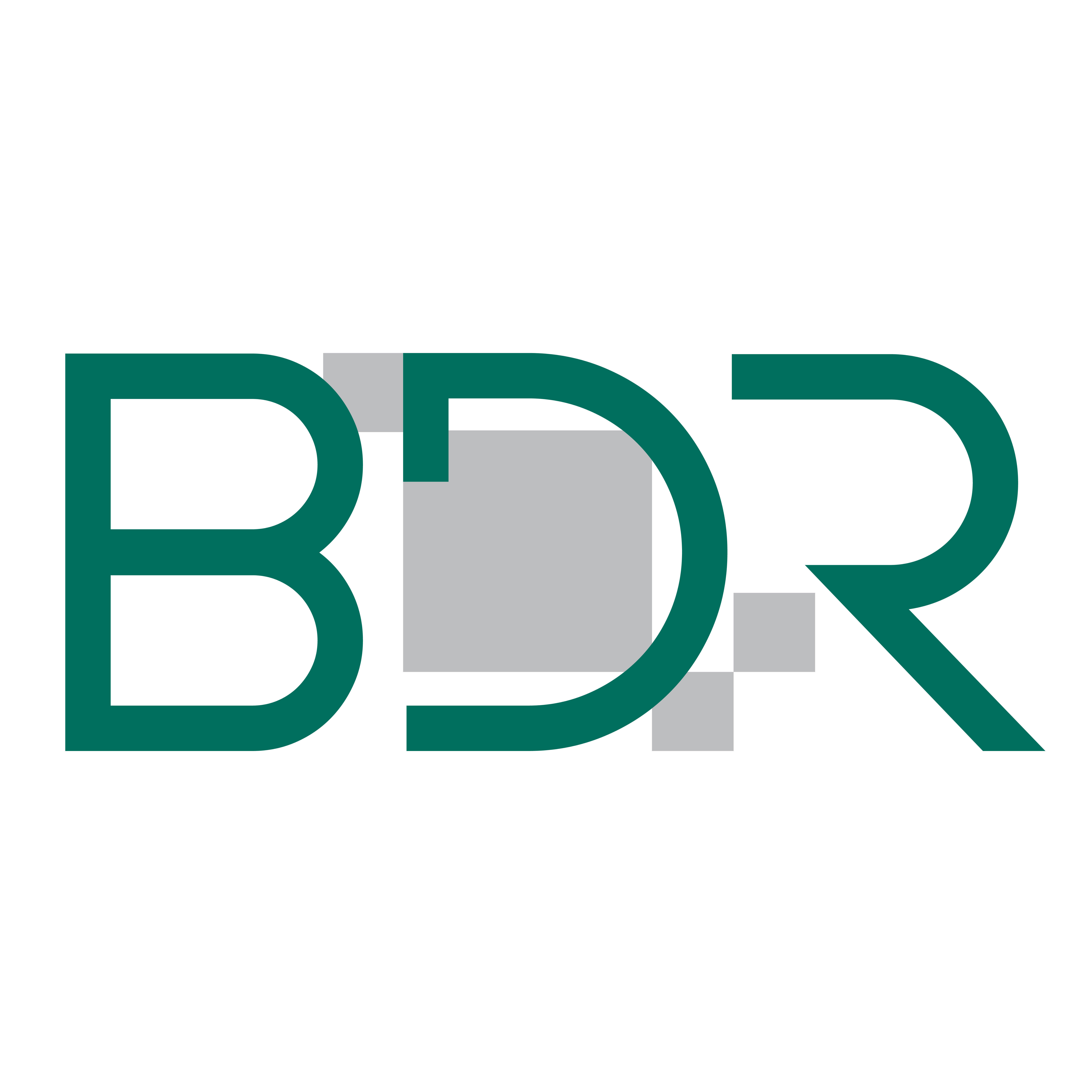 BDR Informàtica Logo