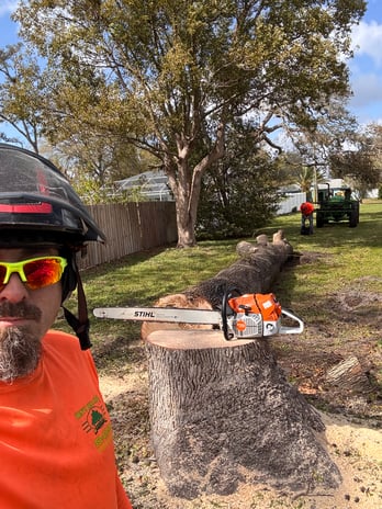 Images Trent's Tree Service The Neighborhood Arborist LLC