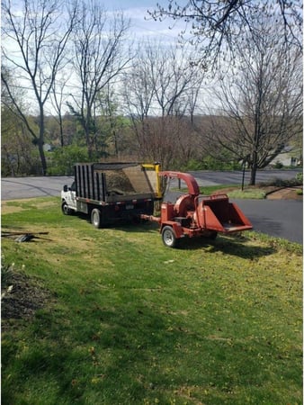 Images Jorge's Tree Service, LLC