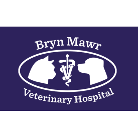 Bryn Mawr Veterinary Hospital