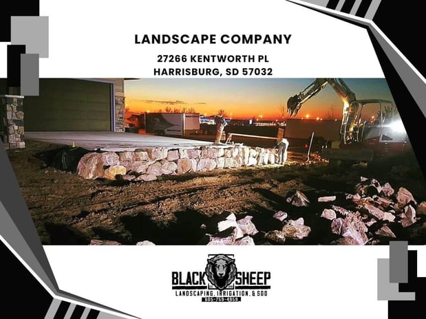 Images Black Sheep Landscape