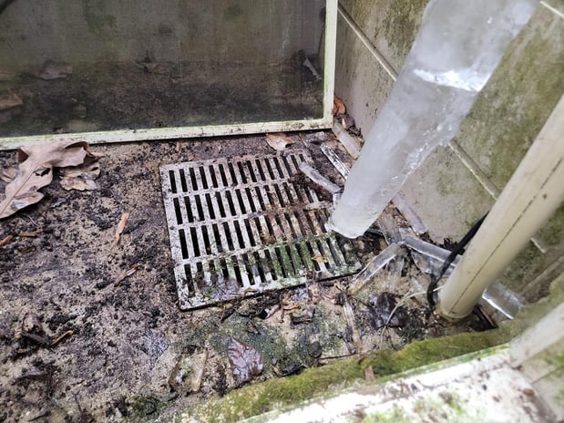 Images My Carpet Cleaning & Restoration Service