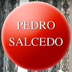 Pedro Salcedo Dilula Logo